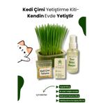 KorPet Kedi Otu Çimi Kiti – Evde Yetiştir, Pratik ve Eğlenceli Set 4 Parça