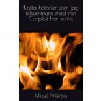 Korta historier som jag tillsammans med min Co-pilot har skrivit