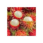 Köy Tohumları 1 Adet Tohum Nadir Rambutan Tropikal Meyve Ağaç Tohumu Rambutan Meyvesi Tohumu Hediye Tohumlu