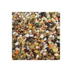 Köy Tohumları 1kğ Saf Kuş Yemi Her Türlü Kuş Için Uygun Besleyici Mineralli Kuş Yemi Muhabbet Kanarya Hint Bülbülü