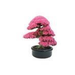 Köy Tohumları 35 Adet Tohum Bodur Bonsai Pembe Erguvan Ağacı Bonzai Tohumu Organik Bahçe Saksı Toprak Hediyemizdir
