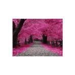 Köy Tohumları 5 Adet Tohum Nadir Bulunan Japon Pembe Sakura Ağacı Tohumu İthal Ağaç Tohumu Hediye Tohumlu