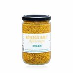 Köyceğiz 400 gr Cam Kavanoz Arı Poleni