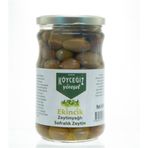 Köyceğiz 600 gr Cam Kavanoz Yöresel Ekincik Sofralık Zeytin