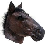 Koyu Hayvan Komik Maske At Unicorn Maskesi Türkiye Tavuk Kurbağa Köpek Maskeleri Parti Kostüm Partisi Lateks Hayvan Kafa Maskesi Başlık Sahne (Yurt Dışından) - Renkli - Yok