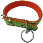Kozaklı Boy 45-50 cm Yeşil Orta Irk Köpek Tasması