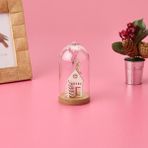 Kpm 13 cm Asorti Işıklı Fanus Ev
