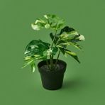 Kpm Botta Asorti 24 cm Çiçek