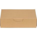 Kraft Sedefli Kuru Pasta Kutusu 500 gr 11.7X21.5X6 cm