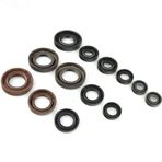 KRANK KEÇESİ OLEO MAC 750-753-755-453 15x30x5.5mm