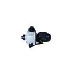 Kripsol TYC00721115427 Niger-Kng Havuz Pompası 0.75Hp (Monofaze)/niger-Kng Pool Pump 0.75Hp (Monophase)-Lions Pool