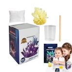 Kristal Dikim Seti, Kristal Büyüyen Bilim Deneyleri Laboratuvar Oyuncakları, STEM Proje Oyuncak, 8 Yaş ve Üzeri Erkek ve Kız Çocukları için Eğitim Bilimi Hediyeleri, Öğrenme Oyuncakları Fassme