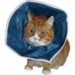 Kruuse Buster Kedi Köpek Yakalığı