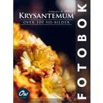Krysantemum: Över 100 HD-bilder