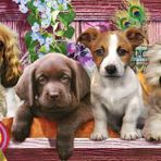 KS Games 1000 Parça Yavru Köpekler Panorama Puzzle
