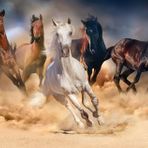 KS Games Koşan Vahşi Atlar 1000 Parça Puzzle