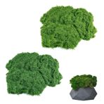 Ksvaye Island yosunu yapay yosun 100 g, küre yosun korunmuş dekoratif yosun yapay, küre yosun konservesi, el işi için sahte yosun, doğal tekrar kullanılabilir, dekorasyon, model yapımı, ev dekorasyonu