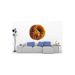 Kt Grup Sanatsal Aslan Portresi Salon Ve Oturma Odası Modern Duvar Sticker