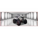 Kuba Hussar 135 Atv