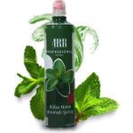 Küba Nane Aromalı Kahve & Tropikal Içecek & Kokteyl Şurubu 750 ml - 1 kg