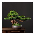 Küçük Bonsai Yapay Bitkiler Çam Bonsai İç Mekan Dekorasyonu Seramik Saksılı Sahte Bonsai Feng Shui İyi Şanslar Fortune Bonsai Ağacı Yapay Oturma Odası Aksesuarları Oda Ofis Dekorasyonu Yapay P