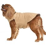 Küçük ve Orta Irk Köpek Mont Kampe Çift Taraflı Krem