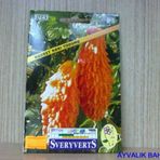 Kudret Narı Tohumu Paket Ücretsiz Kargo
