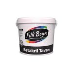 Küf-Nem Önleyici Betakril Tavan Boyası 1 Kg