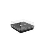 Kullanat Plastik Kare Pasta Kabı Seti 12x12x4,5 cm - 50 Adet