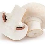 Kültür mantarı tohumu 1 kg beyaz
