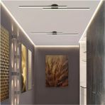 Kumsar Aydınlatma Luminda Plafonyer Modern LED Avize Siyah EC-8324 - Gri