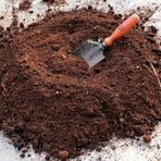 Küpeli Çiçeği Toprağı Torfu 9 Kğ Özel Karışım Bitki Toprağı