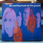 Kupon The Darling Buds * Hit The Ground ,ingiliz Baskı 1989 Lp