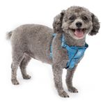 Kurgo Köpek koşum takımı | evcil hayvan yürüyüş koşumu | No Pull Harness ön klips fonksiyonu antrenman için dahil | otomatik emniyet kemeri | TRU-Fit hızlı kilit tarzı | küçük | mavi