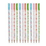 Kurşun Kalem Flamingo 12'li Set