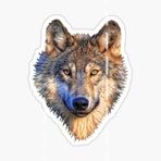 Kurt Araba Sticker Etiket Yapıştırma 18 Cm