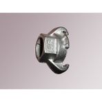 Kurtağzı Rekor (Dişi) - 1/2"