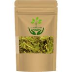 Kurtpençesi Otu (Kibrit Otu) 250GR - 1 Adet