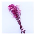 Kuru Çiçek Doğal Kurutulmuş Çiçek Doğal Cipso 40 CM 20 GR Kırmızı