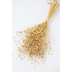 Kuru Çiçek Luna Keten Otu 60 Gr Naturel