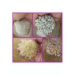 Kuru Fasulye 1 Kg Nohut 1 Kg Pirinç 1 Kg Şehriye 1 Kg ( Doğal Ve Katkısız) Net 4 Kg