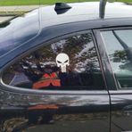 Kuru Kafa Oto Sticker Araba Yapıştırma