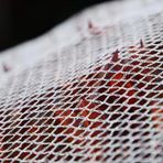 Kuş Ağı, Dayanıklı 14 x 14 m Dolu Koruma Ağı - Meyveler, Sebzeler ve Bitkiler için Ağır Hizmet Bahçe Örtüsü Yırtılmaya Dayanıklı, Hava Koşullarına Karşı Dolu Hasarına Karşı Tarım Kalkanı