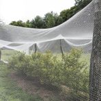 Kuş Ağı, Dolu Önleyici Ağ, Bahçe için Kuş Koruma Örgüsü, 10x50m Bitki Örtüsü, Sebze ve Çiçek Kalkanı, Meyve Koruma Ağı, Meyve Bahçeleri ve Seralar için İdeal