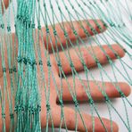 Kuş Ağı, Pencereler ve Bahçeler için Dış Mekan Kedi Ağı - 10 x 10 m Ağ Ağ Seti 1,5 x 1,5 cm Delikler Balkonlar, Havuzlar ve Kiraz Ağacı Koruması için Mükemmel.
