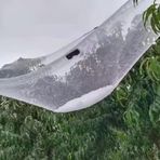 Kuş Ağları, Bahçe Ağları Kuş Koruma Ağı Bitki Yükseltilmiş Yataklar için Koruma Ağı Meyve Ağları ve Sebzeler Nefes Alabilir, Özelleştirilebilir Boyut (3 x 10 m)