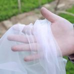 Kuş Ağları, Bahçe Meyve Ağları ve Sebzeler için Ağır Hizmet Böcek Ağları, 2,5 x 15 m Şeffaf Cibinlik, Güçlü Kuş Koruması, Bitkiler ve Bitkiler için İdeal