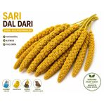 Kuşlar İçin Doğal Sarı Dal Darı 100 Gr