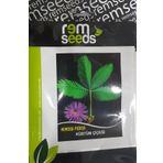 Küstüm Çiçeği Tohumu - Mımosa Pk. (~ Takribi 30 Tohum)