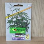 Küstüm Çiçeği Tohumu Paket Ücretsiz Kargo